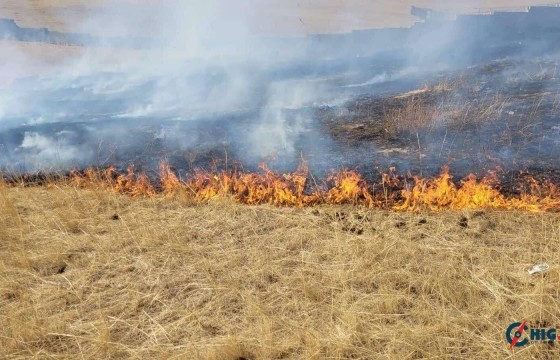 Шар өвс шатааж гал алдвал 100 мянган төгрөгөөр торгоно