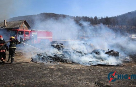 Шар өвсний гал түймрийн дуудлага нэмэгдэж байна