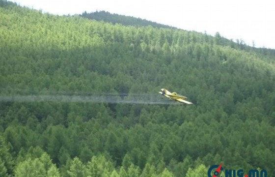 Богдхан уулын дархан цаазат газрын 3000 га газарт ойн хөнөөлт, хортон шавжтай тэмцэх ажил хийгдэнэ