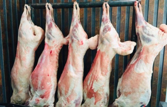  Нөөцийн хонины гулууз мах килограмм нь 8,900, ямааных 6,700 төгрөгийн үнэтэй байна