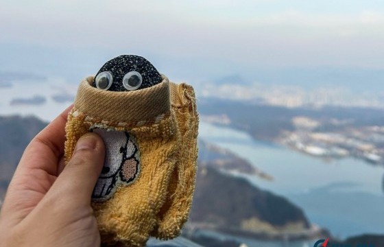 Өмнөд Солонгосын залуу үеийнхэн ганцаардлаас салахын тулд байгалийн чулуутай “нөхөрлөдөг” болжээ