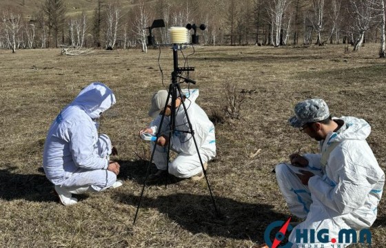 Төв аймгийн Батсүмбэр сумаас ойн улаан хачгийн тархалтын шинэ цэгийг илрүүлжээ