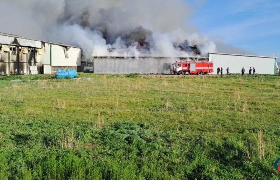 Төв аймгийн Баянчандмань сумын шувууны аж ахуй шатжээ