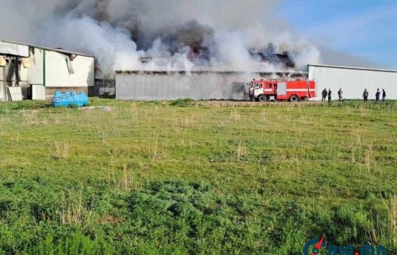Шувууны аж ахуйд гарсан галын тархалтыг зогсоосон гэж ОБЕГ-аас мэдээллээ