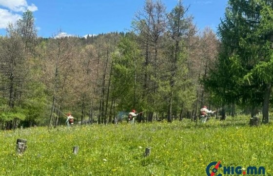 Архангай аймгийн нутагт улсын төсвийн хөрөнгөөр ойн хөнөөлт шавжийг устгаж байна