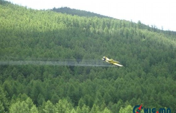 Ойн хөнөөлт шавжтай тэмцэх ажил Архангай аймагт үргэлжилж байна