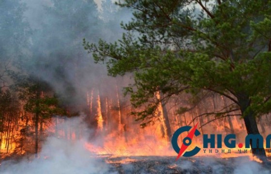 Хөвсгөл аймгийн Жаргалант суманд ой хээрийн түймэр гарч, ойролцоогоор хоёр га талбай өртжээ