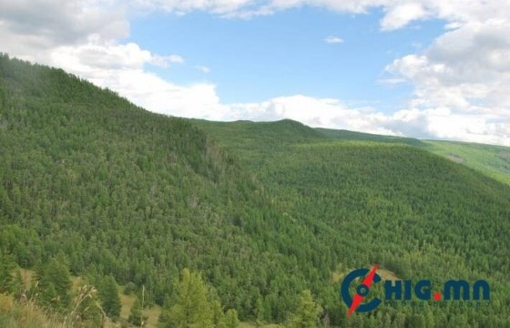 Энэ оны эхний таван сард хууль бусаар мод бэлтгэсэн 139 гэмт хэргийг шийдвэрлэжээ