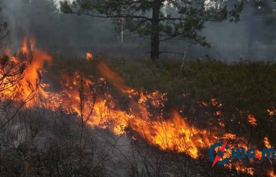 Аянга бууж ойн түймэр гарчээ