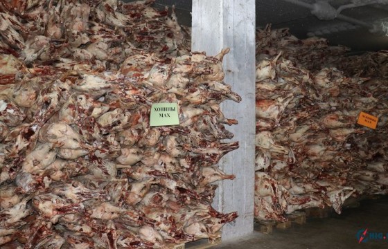 Улаанбаатарт гурван сарын хугацаанд 6,337 тонн нөөцийн махны 64% зарагдсан