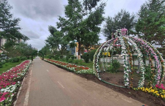 Өнөөдрийн байдлаар 920.000 гаруй цэцэг тариад байна