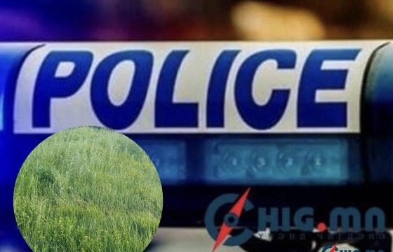 Дэрсэн дунд хэвтэж байсан эрэгтэйг тарвага гэж андууран буудан амь насыг нь хохироожээ 