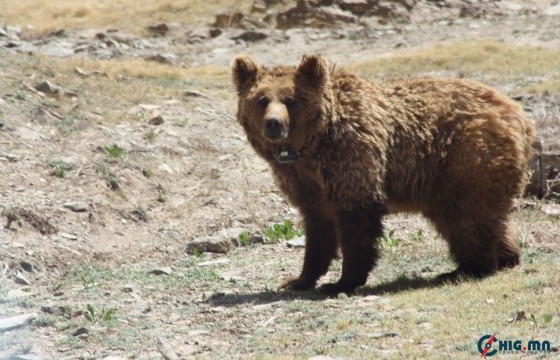 Мазаалайн тархац нутгийн чанарын үнэлгээг боловсруулах ажлыг БНХАУ-ын судлаачидтай хамтран хэрэгжүүлжээ