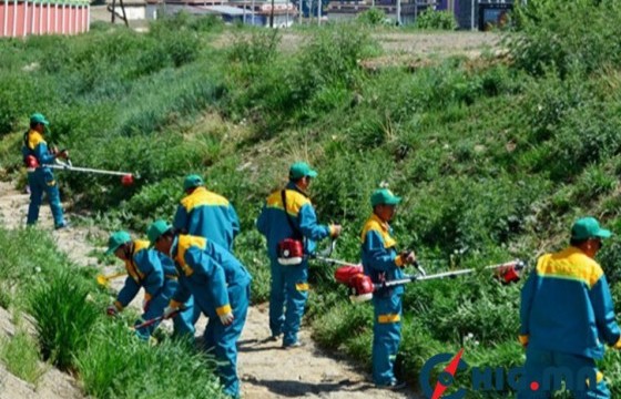 Шарилжийг 7, 8 дугаар сүүлийн хагаст 8-10 см өндөртэй байхаар хадаж тайрахыг зөвлөж байна