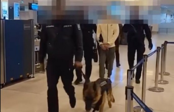 Дээрмийн хэрэгт шалгагдан, эрэн сурвалжлагдаж байсан этгээдийг БНСУ-аас баривчилжээ