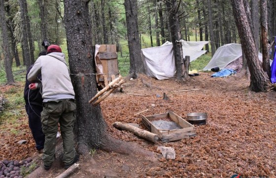 Болц гүйцээгүй үед самар түүхгүй байхыг анхааруулж байна