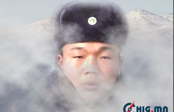 Муухай төр 