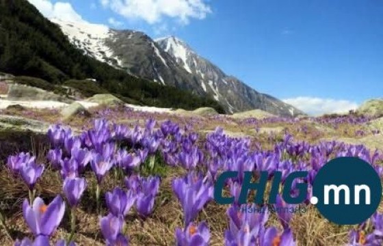 Ханш нээх улирал өнөөдөр 20:45 цагт эхэлнэ 