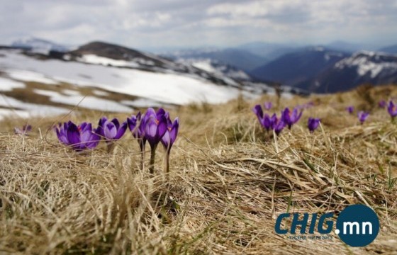 Улаанбаатарт 15 хэм хүйтэн