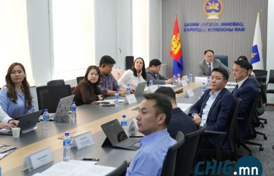 IT компаниудад татварын хөнгөлөлт үзүүлэх журмыг Засгийн газарт өргөн барина