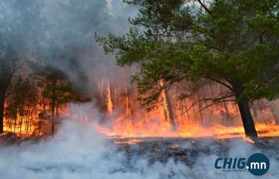 Дорнод аймагт 120 га талбай, Булганд 45 га талбай хээрийн түймэрт өртжээ