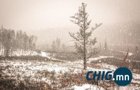Улаанбаатарт маргааш бороо орно 