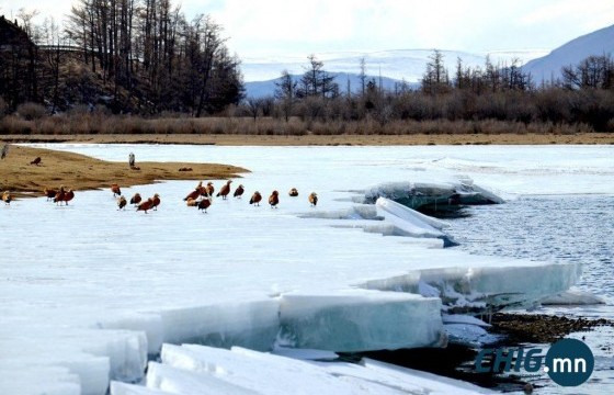 Улаанбаатарт 13 хэм дулаан