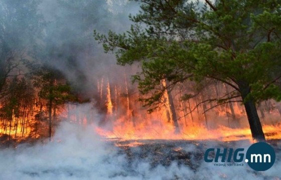 ОБЕГ: Булган аймагт гарсан ойн түймрийг унтраахаар ажиллаж байна