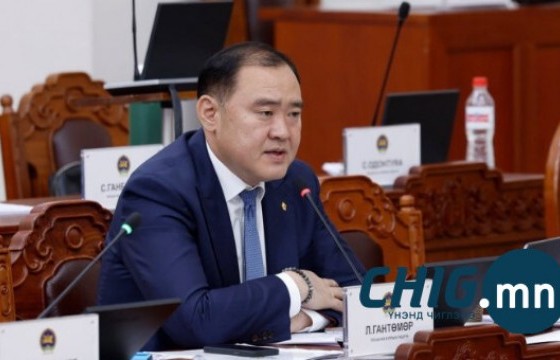 Л.Гантөмөр: Төсвийн мөнгөөр өргөн хэрэглээний бараа бүтээгдэхүүн авахдаа дотоодын бараа бүтээгдэхүүн авна гэж хуульчилж өгмөөр юм билээ