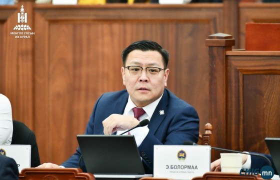 Б.Баярбаатар: Төрөөс гурилын 10 ААН-д 212 тэрбум төгрөгийн хөнгөлөлттэй зээл олгосон