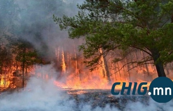 Он гарсаар 12 аймгийн 55 сум, нийслэлийн хоёр дүүрэгт нийт 79 удаагийн ой, хээрийн гал түймэр бүртгэгджээ