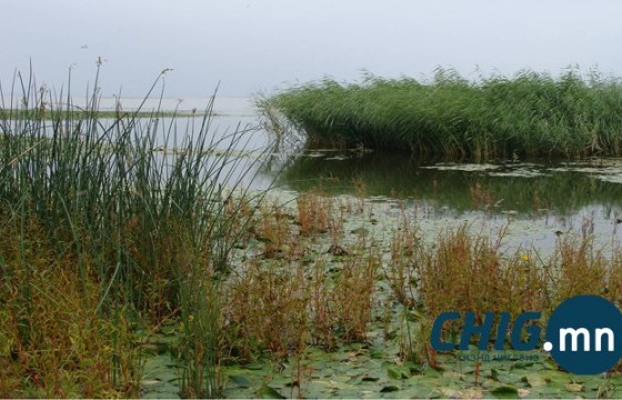 Согтуугаар морьтой гол гаталж яваад амиа алджээ
