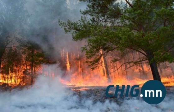 Сэлэнгэ аймгийн хоёр суманд ойн түймэр гарч байна 