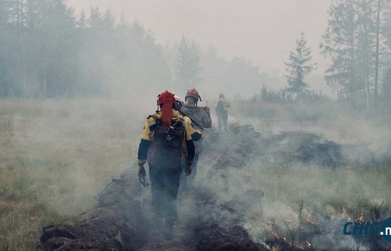 Сибирт 600,000 га газрыг хамарсан түймэр асч байна