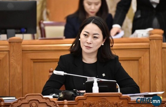 П.Анужин: 126 гишүүнтэй УИХ-д ганц нам дангаараа засаглах боломж байхгүй