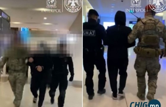 Интерполоор эрэн сурвалжилж байсан Монгол Улсын иргэнийг албадан авчиржээ