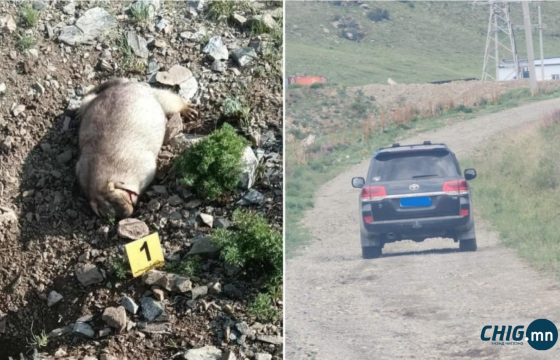 Жаргалантын аманд тарвага буудсан иргэнийг эрэн сурвалжилж байна