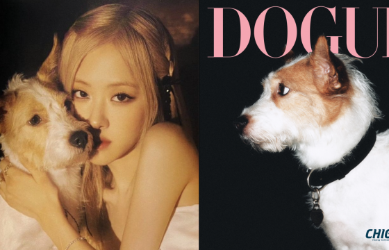 Rosé-ийн нохой Hank нохойнуудын Vogue буюу Dogue сэтгүүлийн нүүрэнд гарлаа