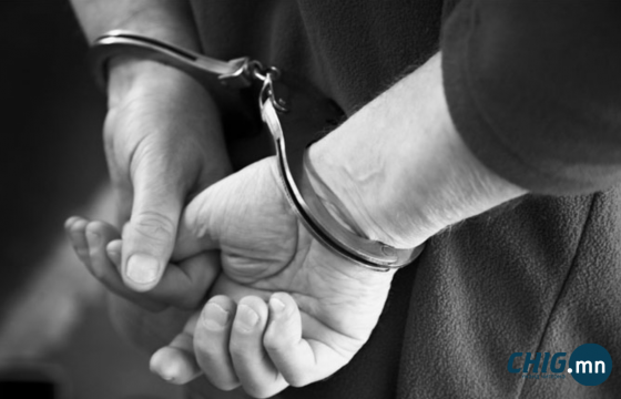 10 сартай хүүхдийг уйллаа хэмээн хөнөөсөн этгээдийг 14 жил хорино