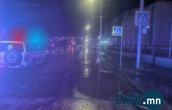 Тогтоол усанд унасан цахилгааны утаснаас тогонд цохиулж гэмтжээ
