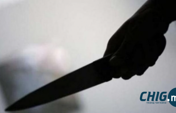 Хамтран амьдрагчаа хутгаар хатгаж, хүчирхийлсэн этгээдэд 240 цаг нийтэд тустай ажил хийх ял оногдуулжээ