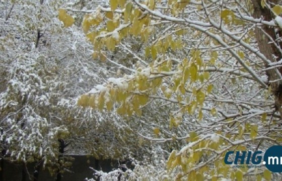 Есдүгээр сарын дунд үеэс нойтон цас орно 