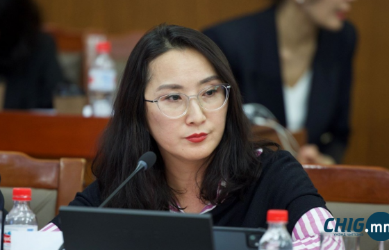 Ж.Баярмаа: Намын даргаар сонгогдвол төрийн бодлогод бодит нөлөө үзүүлнэ