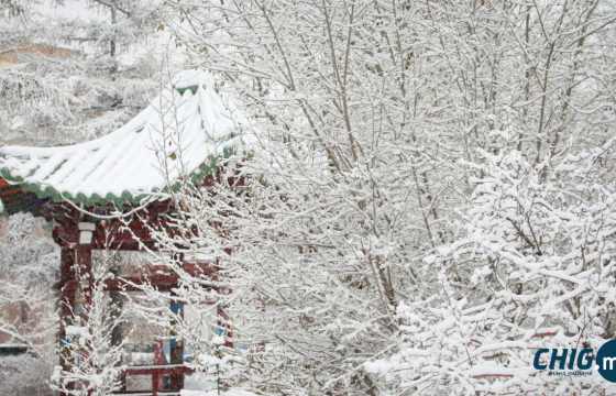 XII сар хүртэлх цаг агаарын урьдчилсан төлөв