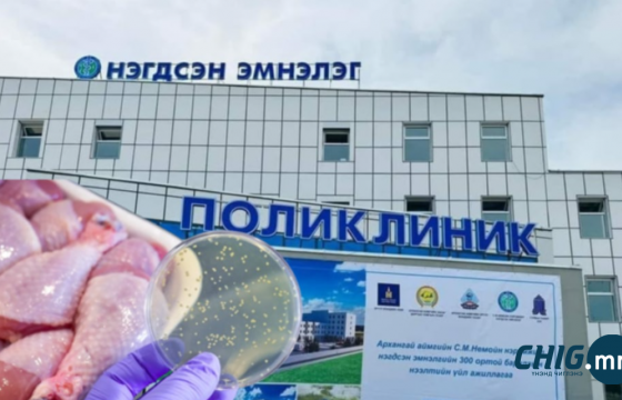 Архангайд тахианы махны хордлогоор 26 хүн эмнэлэгт хүргэгджээ