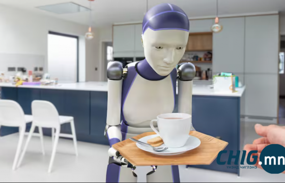 2060 он гэхэд хүн төрхт роботуудын тоо 3 тэрбумд хүрнэ
