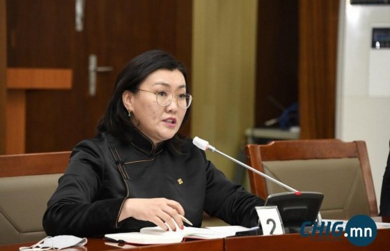  А.Ариунзаяа:  Н.Энхбаяр гуайд ЗГ хоорондын гэрээг зөв ойлгуулах хэрэгтэй