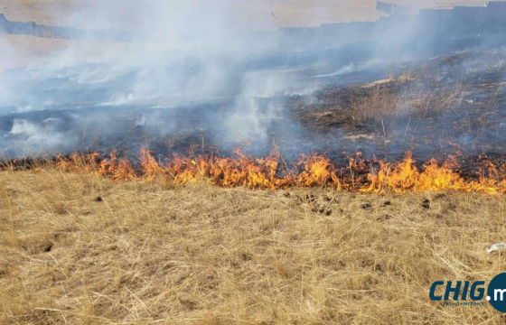 Баян-Өлгий аймгийн Ногооннуур сумд 45 тонн өвс шатаж байсныг унтраажээ