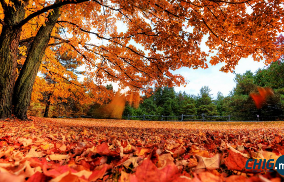 Өнөөдөр нийт нутгаар дулаарна