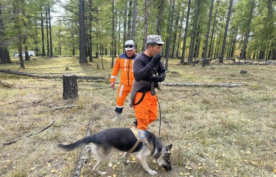 Хоёр настай хүүг хайхад 10 эрэлч нохой, 10 дрон ашиглаж байна